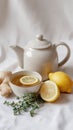 Herbal tea composition with lemon, ginger, and thyme Royalty Free Stock Photo