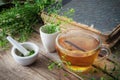 Herbal tea cup, shepherds purse, mortar and old book.