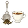 Herbal Tea Cup and Steeper with Loose Tea Leaves Still Life Illustration Royalty Free Stock Photo