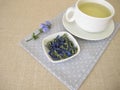 Herbal tea with dried flowers and leaves from wild chicory Royalty Free Stock Photo