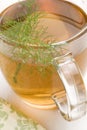 Herbal tea. Fennel. Royalty Free Stock Photo