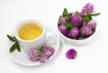 Herbal tea with flowers of clover Royalty Free Stock Photo