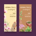 Herbal tea flyer design with peach flower, peppermint, sage watercolor illustration Royalty Free Stock Photo