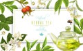 Herbal tea frame