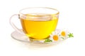 Herbal tea with fresh chamomile flowers on white background Royalty Free Stock Photo