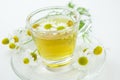 Herbal tea with fresh chamomile Royalty Free Stock Photo