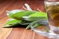 Herbal tea with fresh sage leaf on wooden flooring Royalty Free Stock Photo