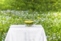 Herbal tea in glass cup on the table in spring garden Royalty Free Stock Photo