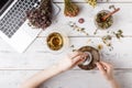 Herbal tea for home medicina, flat lay on table Royalty Free Stock Photo