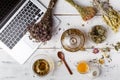 Herbal tea for home medicina, flat lay on table Royalty Free Stock Photo