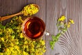 Herbal tea of Hypericum perforatum or St johns wort medicinal herb in cup and fresh flowers in wooden spoon Royalty Free Stock Photo