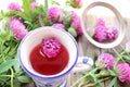 Herbal tea or infusion with red clover, purple flowers in a strainer, and on the wooden table. Natural floral background Royalty Free Stock Photo
