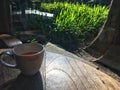 Herbal tea inside white cup on wooden table with sunshine reflection. Red lipstick color dirty on edge after woman sip the tea. Royalty Free Stock Photo