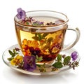 herbal tea isolated Royalty Free Stock Photo