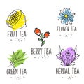 Herbal tea logo elements collection. Organic herbs and wild flowers.