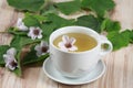 Herbal tea from marshmallow Royalty Free Stock Photo