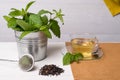 Herbal tea with melissa in a glass cup Royalty Free Stock Photo