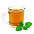 Herbal tea with melissa in a mug Royalty Free Stock Photo