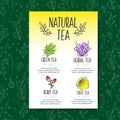 Herbal tea menu brochure. Organic herbs and wild flowers. Hand sketched fruits and berries illustration.