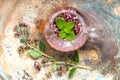 Herbal tea with mint and oregano flowers Royalty Free Stock Photo