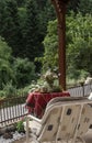 Herbal tea in nature in the forest on a summer day