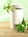 Herbal tea - nettle