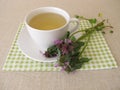 Herbal tea with purple dead nettle