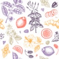 Herbal tea seamless pattern. Hand sketched fruits, herbs, flowers, berries, leaves backdrop. Vector botanical illustration. Royalty Free Stock Photo