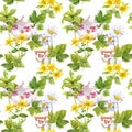 Herbal tea. Seamless pattern: herbs chamomile, mint, teapot, teacup. Watercolor