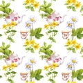 Herbal tea. Seamless pattern: herbs chamomile, mint, teapot, teacup. Watercolor