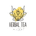 Herbal tea seamless pattern.