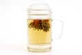 Herbal tea with tea flower in glass cup Royalty Free Stock Photo
