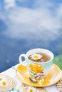 Herbal tea in teacup decorated with flowers outdoors in background of blue sky with clouds, healthy herbal drink with honey