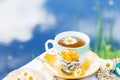 Herbal tea in teacup decorated with flowers outdoors in background of blue sky with clouds