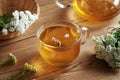 Yarrow tea in a glass cup Royalty Free Stock Photo