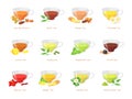 Herbal tea types. Different type green black teas, hot sugar drink in glass cup, flowers jasmin ginger peppermint lemon