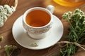 Yarrow tea in a cup with fresh blooming Achillea milefolium plant Royalty Free Stock Photo