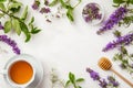 Herbal tea with white tea cup and wooden honey spoon , with green tea leaves and flowers. Flat lay, top view