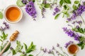 Herbal tea with white tea cup and wooden honey spoon , with green tea leaves and flowers. Flat lay, top view