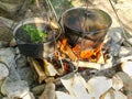 Herbal tea from wild herbs during cooking on open fire