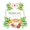 Herbal tea wreath design with Sage, Cinnamon, Teacup, Lemon watercolor illustration