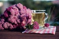 Herbal tea - Yarrow - Achillea millefolium Royalty Free Stock Photo