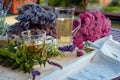 Herbal tea - Yarrow - Achillea millefolium and Lavender tea Royalty Free Stock Photo