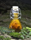 Herbal tincture bio eco organic. Bottle, glass.