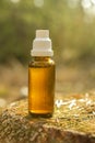 Herbal tincture bottle in the sun rays in the forest.herbal remedy.natural pharmacy.homeopathic remedies. Treatment with