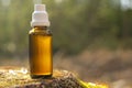 Herbal tincture in a glass bottle in the sun rays in the forest.herbal remedy.natural pharmacy.homeopathic remedies