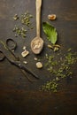 Herbal tisane infusion Royalty Free Stock Photo