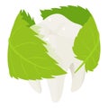 Herbal tooth protect icon, isometric style