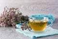 Herbal treatment. A cup of tea with oregano on the table and a dry bunch of herbs nearby Royalty Free Stock Photo