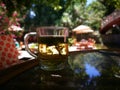 Herbal turkish tea in glass Summer time